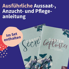 Magic Garden Seeds - Ensemble de graines de plantes médicinales d'Europe centrale - 12 variétés traditionnelles de plantes médicinales populaires - Variétés d'héritage - Accessoires de jardin - Graines de plantes - Cadeau pour les amateurs de jardin