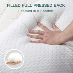 Oreiller Bedstory, Oreiller de Couchage, 2 Pièces, Hypoallergénique, Oreiller Anti-Poussière, Duvet, Qualité Alternative, Oreiller de Lit pour Dormeurs Dos, Ventre et Latéraux, Taille Standard, Lavable, 42 X 70 Cm Naty Shop Oreillers Standard