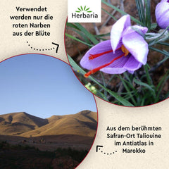 Herbaria Safran-Fäden bio 0,5g im Glas – Bio Safran-Fäden aus dem bereicht Safran-Ort Taliouine in Marokko – Safranfäden in Premium Bio-Qualität – Saffron Premium - Safran première catégorie