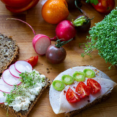 Microgreens Samen Set Von Owngrown - 8 Sorten BIO Sprossen Und MikrogrĂĽn Saatgut Im Microgreens Starter Set - Alfalfa, Rucola, Kresse FĂĽr Kresse Anzuchtschalen Uvm - Sprossen Samen