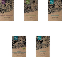 Schönheiten Exotische für Wintergarten und Terrasse - Samen-Geschenkset mit 5 frostempfindlichen Blühpflanzen aus all Welt