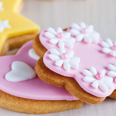 Funcakes Mix Für Kekse: Einfach Zu Verwendende, Knusprige Und Knusprige Kekse, Perfekt Zum Dekorieren Mit Fondant- Ouder Royal Icing, Auch Als Tortenkruste Geeignet, Halal., 1 Kg Mélange pour la pâtisserie et la cuisine Naty Shop