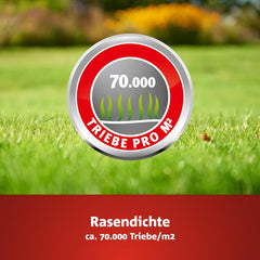 Wolf-Garten Turbo-Nachsaat Zur Rasensanierung LR50 (Für 50 M2, Hohe Dichte Mit Ca. 70.000 Trieben/M2, Für Alle Rasentypen Geeignet, Mit Wolf-Garten Keimgarantie, Im 1Kg Karton) 3826031