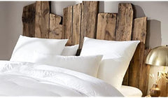 Oreiller Abeil Dourêve, blanc, 45 X 70 Cm, 1 pièce (1 pièce) Oreillers standards Naty Shop