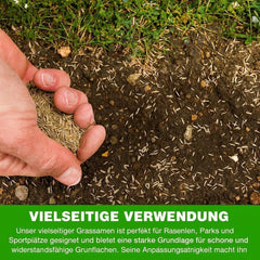 Allzweck-Rasensamen Schnellkeimend – Strapazierfähige, Schnellwachsende Garten-, Spiel- Und Sportrasensamen, Trockenresistent, Ideal Als Neu-Rasensaat Oder Als Reparatur-Rasennachsaat