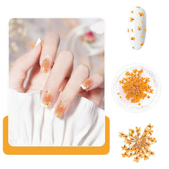 Nail Art Flowers Set Decoration - Gelnägel Zubehör 3 Farben(Orange,Blassrosa,Rose),Nail Art Aufkleber Trockene Blumen Kit Getrocknete Blumen Zubehör Set DIY Nageldekoration