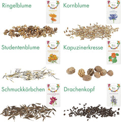 Essbare Blumen Samen Set : Delikatess Blüten Blumensamen Set mit 6 Sorten Blumen Saatgut – Essbare Blüten Samen – Essbare Blumen für Torte – Essbare Blüten Tortendeko – Blumen Essbar von OwnGrown