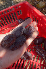 NABALI FAIRKOST FOR ALL Dattes Medjool Medjoul de Palestine - 100% naturel vegan aromatique traditionnel frais et oriental I sans conservateurs 5 kg (1 paquet), Petits/Moyens Produits déshydratés Naty Shop