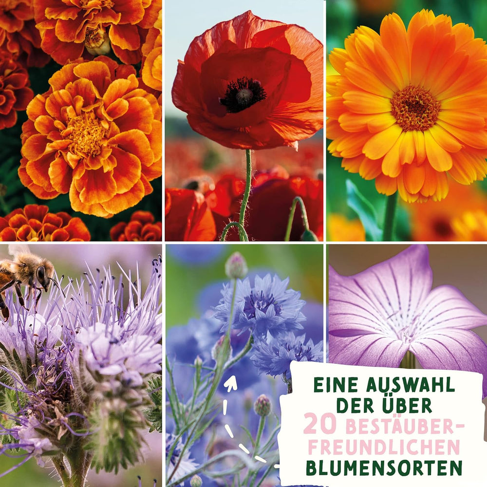 Blumensamen Wildblumenwiese I Blumen Saatgut Als Ostergeschenk, Ostergras Samen I Blumen Samen Oster Geschenk U. Oster Geschenk Kinder I Wildblumen Samen I Blumensamen Tütchen Für Blumenwiese