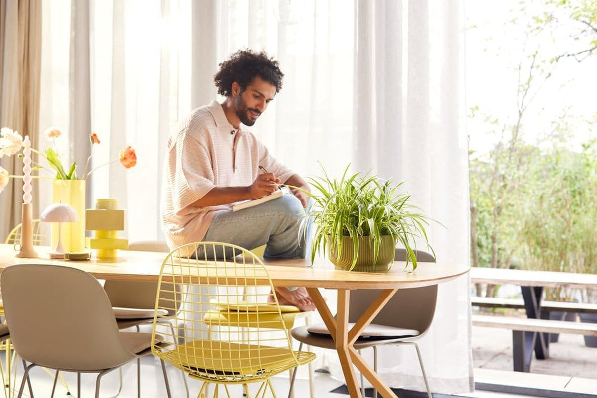 elho Vibes Fold Bowl 25 - Pots de fleurs d'intérieur - 100% plastique recyclé - Ø 24,9 x H 12,1 cm - Vert/Ferngrün