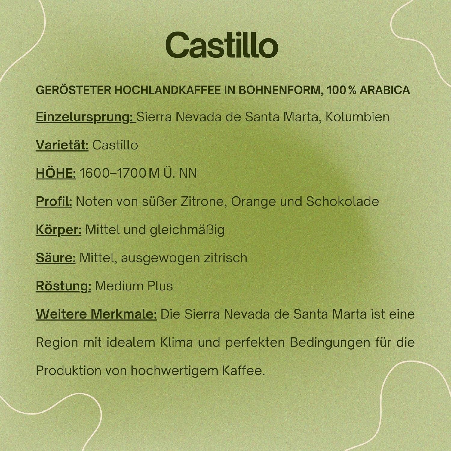 Café spécial Bohnen 100 % Arabica naturel Mittlere Röstung Gewaschener Prozess Zitrus Schokolade Karamell Schattenanbau Sierra Nevada (250 g, Castillo)