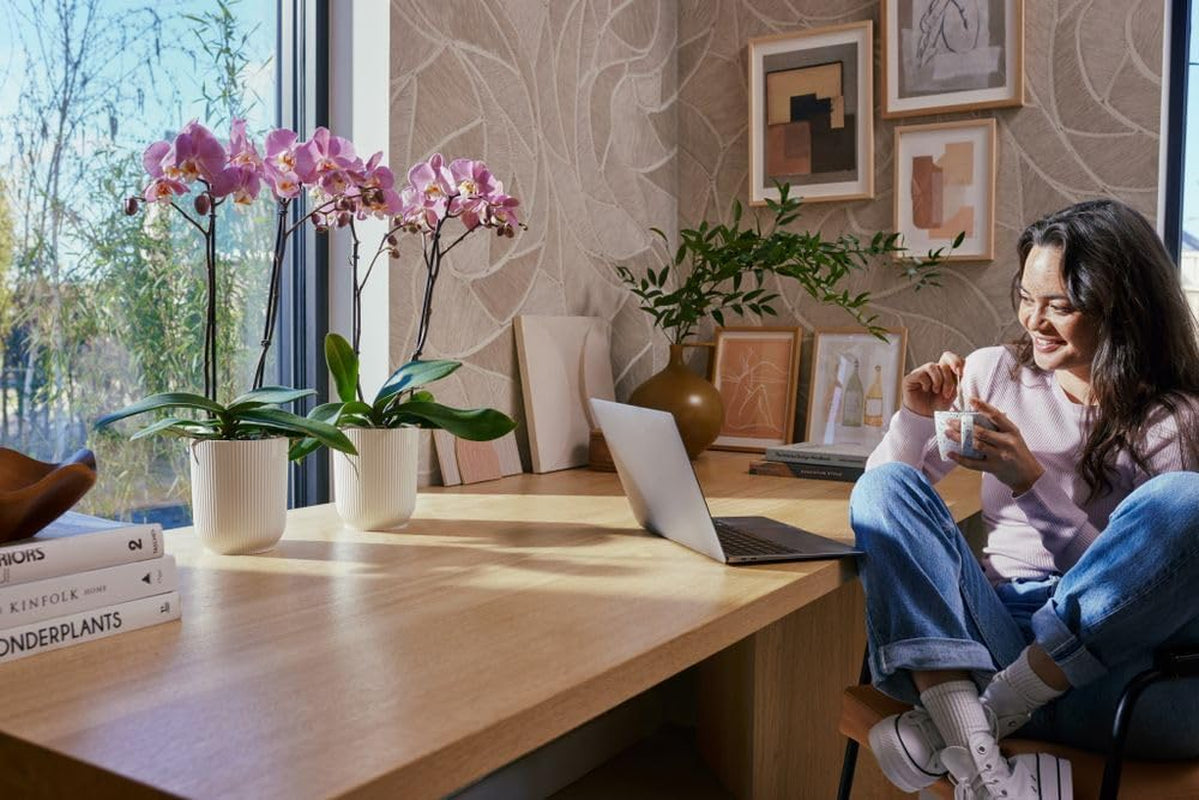 elho Vibes Fold Orchid High 12,5 cm - Pots d'orchidées d'intérieur - Pots de fleurs d'intérieur - Plastique 100% recyclé - Blanc/Blanc soyeux