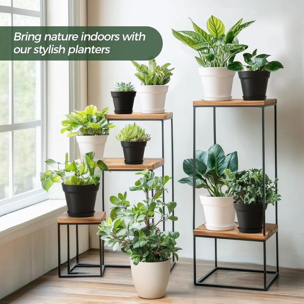 T4U Pot de Fleur en Plastique de 16 cm avec Soucoupe, Ensemble de 6 Pots à Herbes en Plastique avec Plusieurs Trous de Drainage, Pot Rond pour Plantes Succulentes d'intérieur et de Balcon, Cactus, Blanc