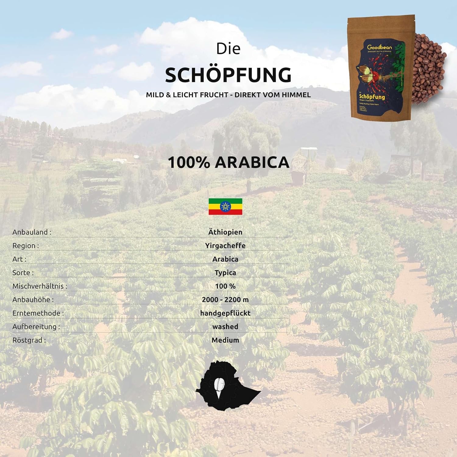Die Schöpfung bleu, fruité, fin Säure | doux et harmonieux Kaffeebohnen | 500g | 100% Arabica | Éthiopien - Yirgacheffe | frisch geröstet | Versand direct aus der Rösterei | Torréfaction moyenne