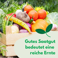 Cosmos Sensation Mix 1g graines, Cosmos Mix Fleurs d'été, Plantes de jardin Plantes de balcon, Graines de fleurs