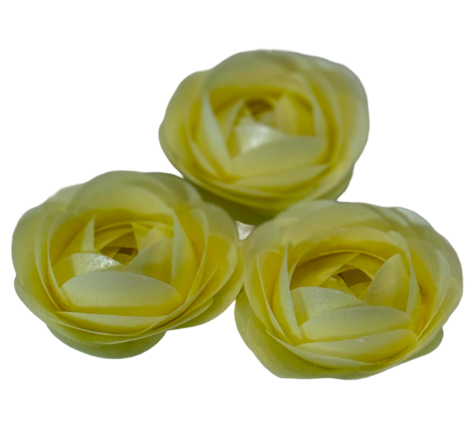 Lot de 3 décorations gaufrées comestibles, Roses jaunes