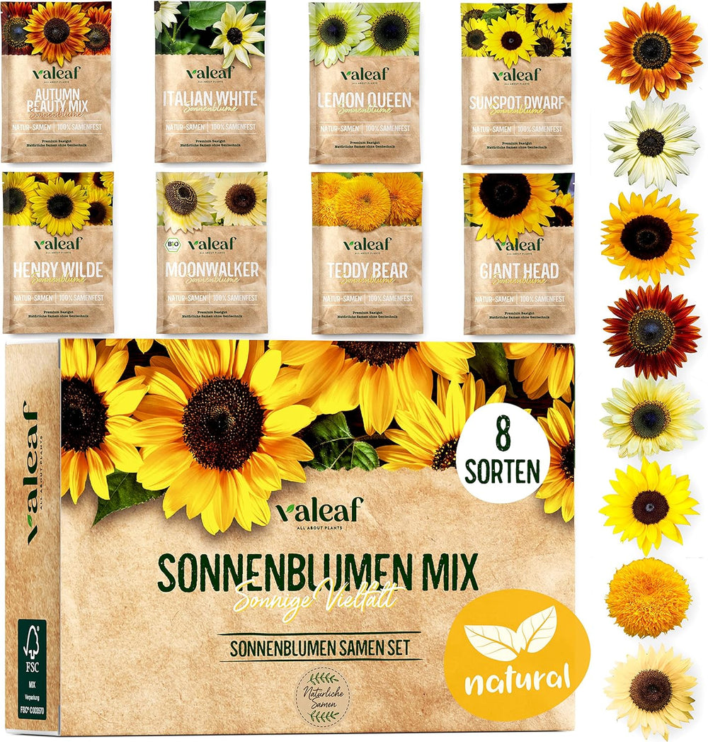 Kit de graines de tournesol - 8 variétés de graines de tournesol - Graines de tournesol dans un kit de plantation pratique - Graines de fleurs d'été, mélange de fleurs sauvages - Graines de fleurs à planter