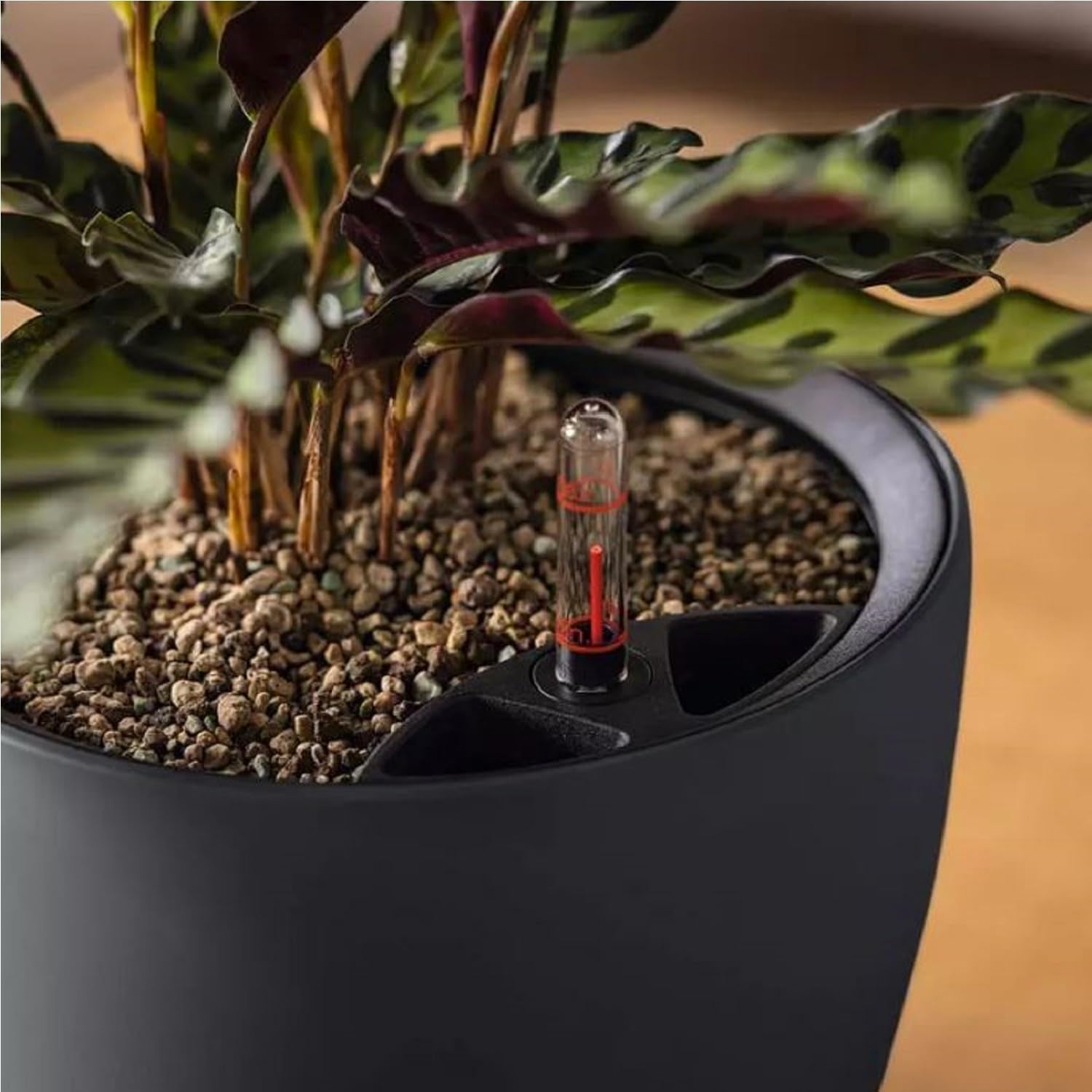 Jardinière LECHUZA Classico Color LS gris ardoise avec système d'irrigation |Ø 35 × 32 cm|14281