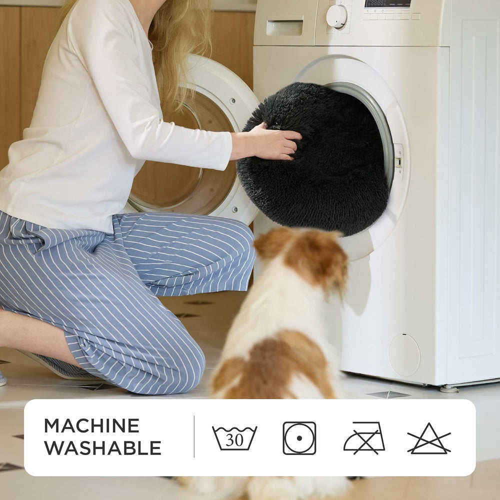 Lits, couvertures et meubles, animaux, chats, lits pour chats, Chats - lits, matelas