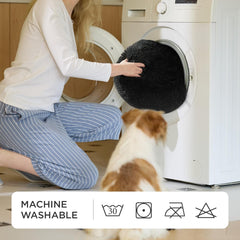 Lits, couvertures et meubles, animaux, chats, lits pour chats, Chats - lits, matelas