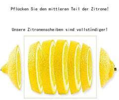 (0,55 £) Tranches de citron séchées, thé au citron, agrumes acidulés et rafraîchissants, sans sucre, végétaliens et casher, 250 g (0,25 kg) (250 g) Produits déshydratés Naty Shop