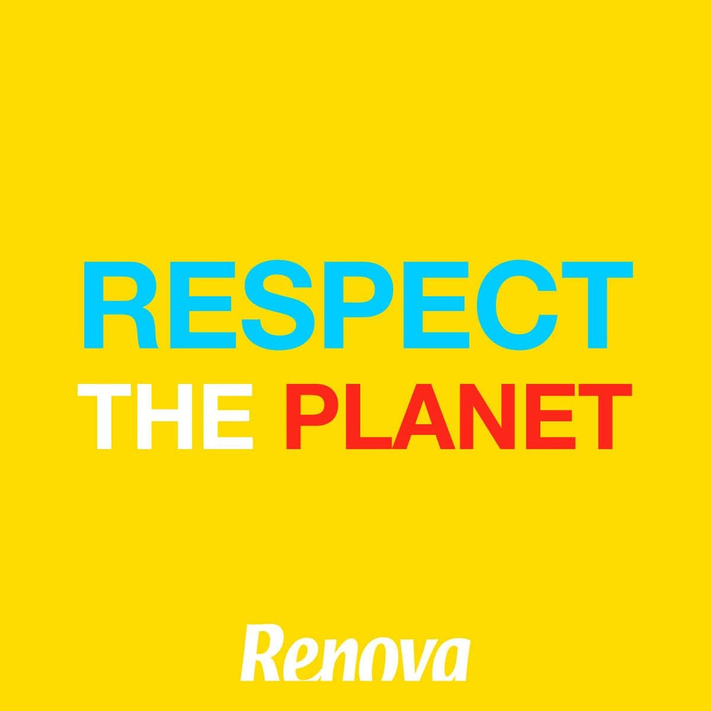 Renova - Mouchoirs Renovagreen, 200 mouchoirs, papier recyclé, Ecolabel européen, format standard