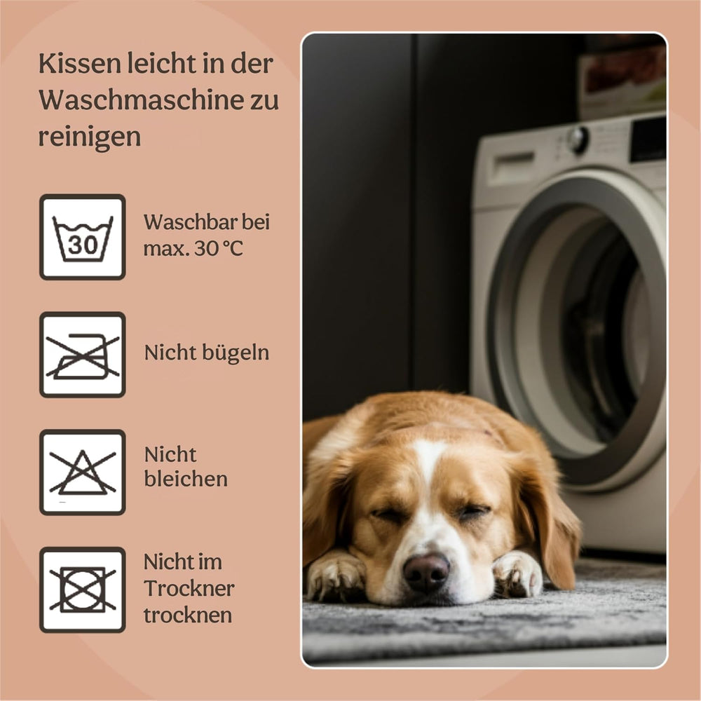 Lits et Canapés, Couvertures et Meubles, Animaux, Chats, Lits pour chats, Chats - lits, matelas