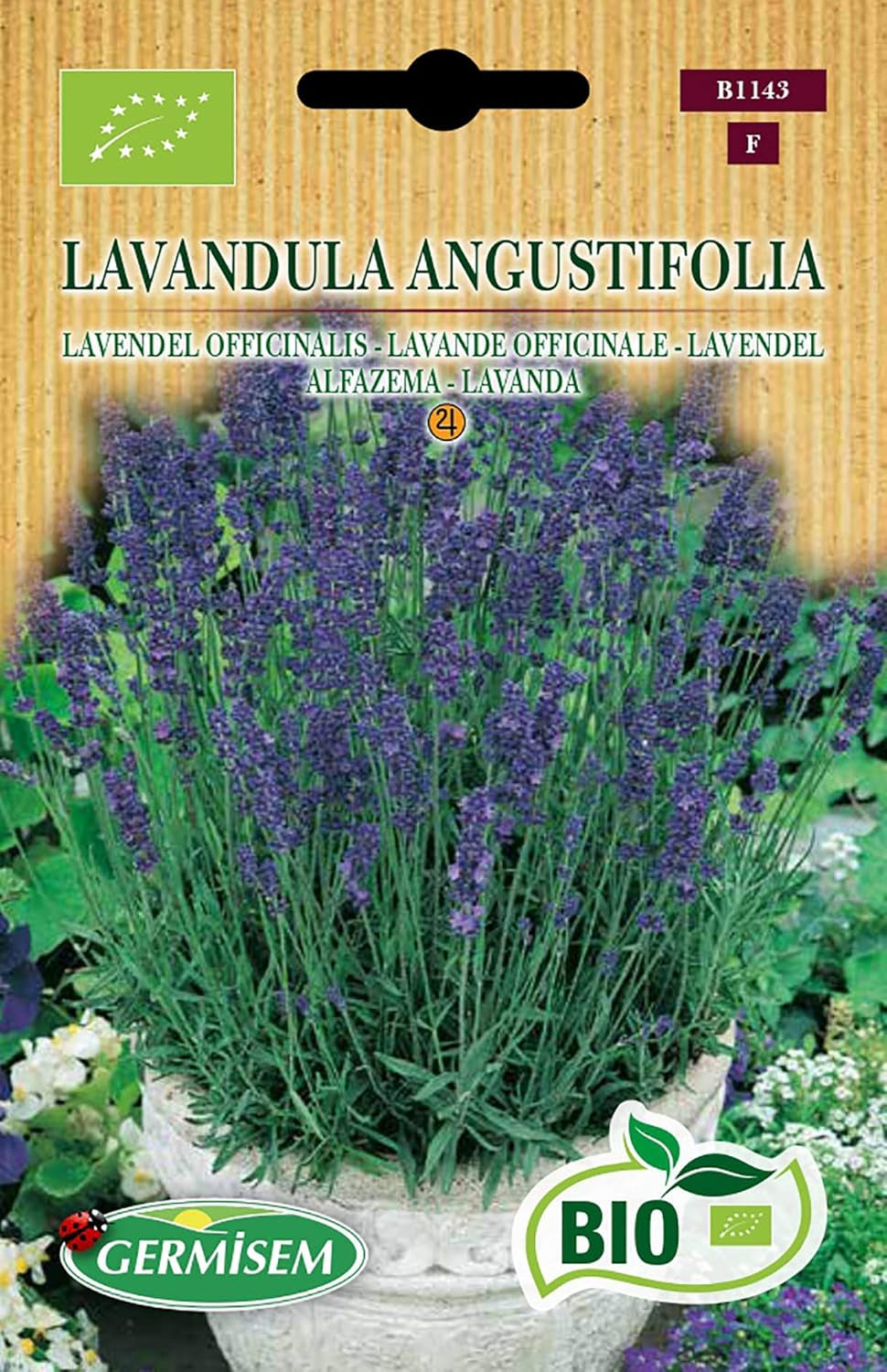 Lavendel LAVANDULA ANGUSTIFOLIA, ECBIO1143