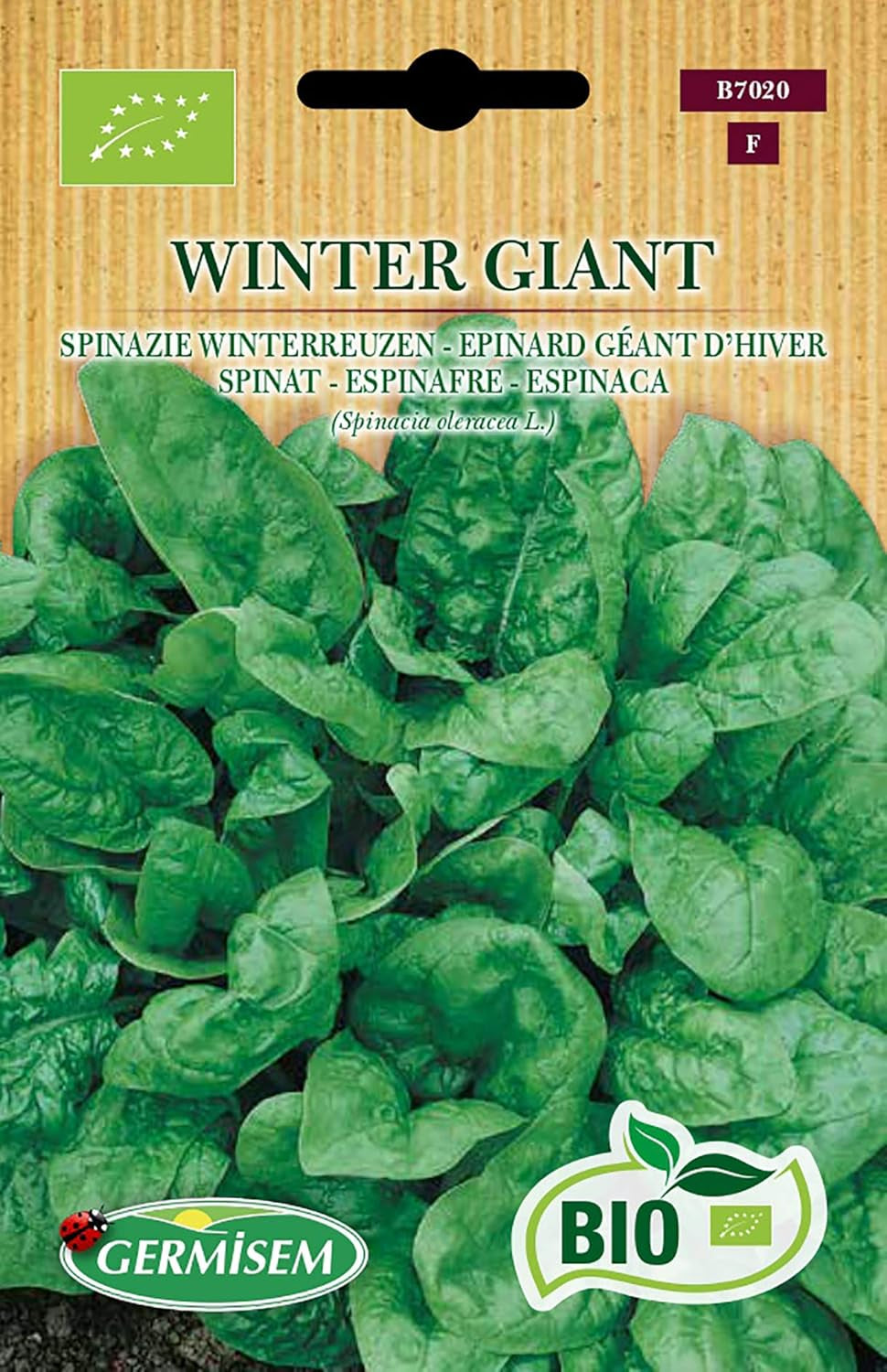 Spinat WINTER GIANT, ECBIO7020