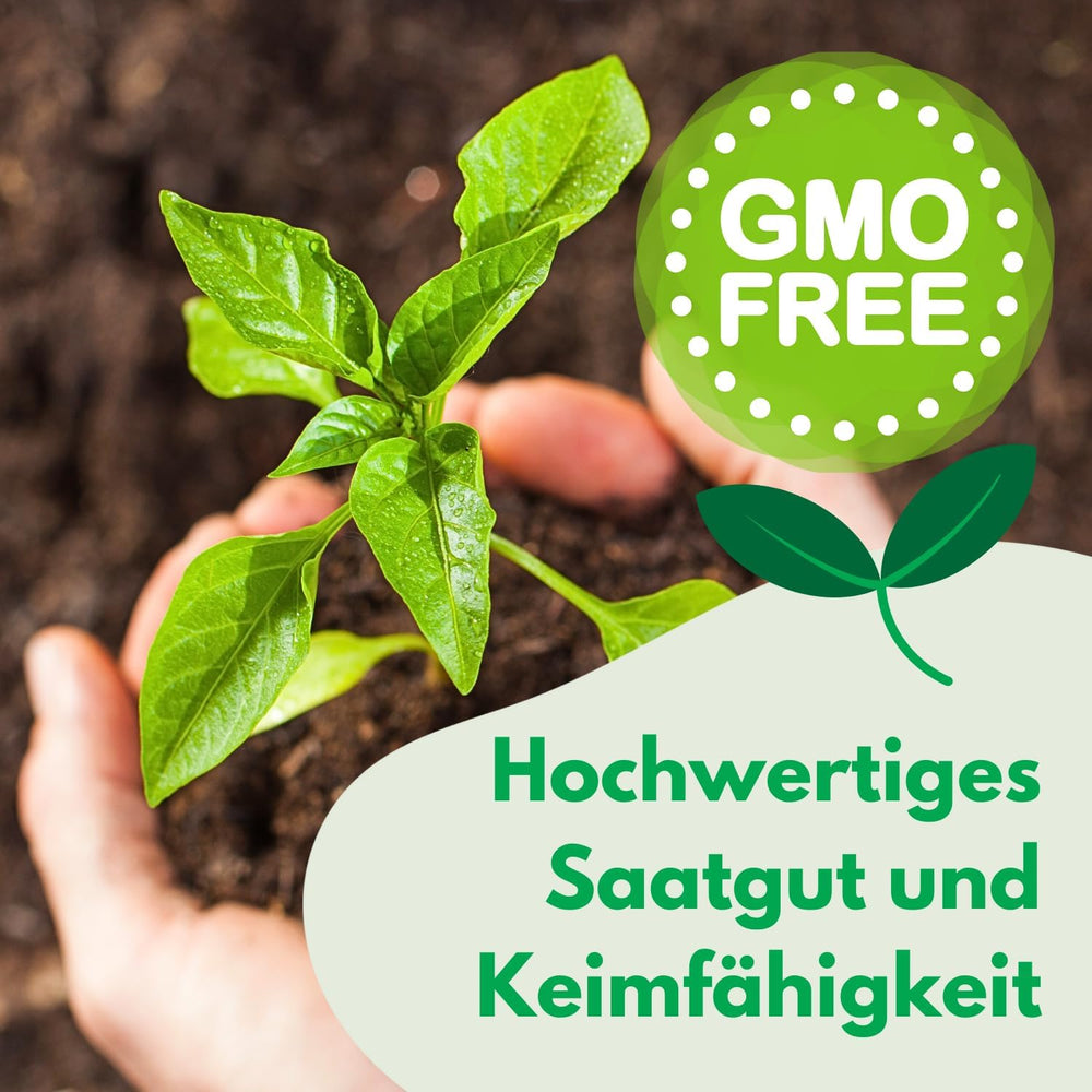 Cosmos Sensation Mix 1g graines, Cosmos Mix Fleurs d'été, Plantes de jardin Plantes de balcon, Graines de fleurs