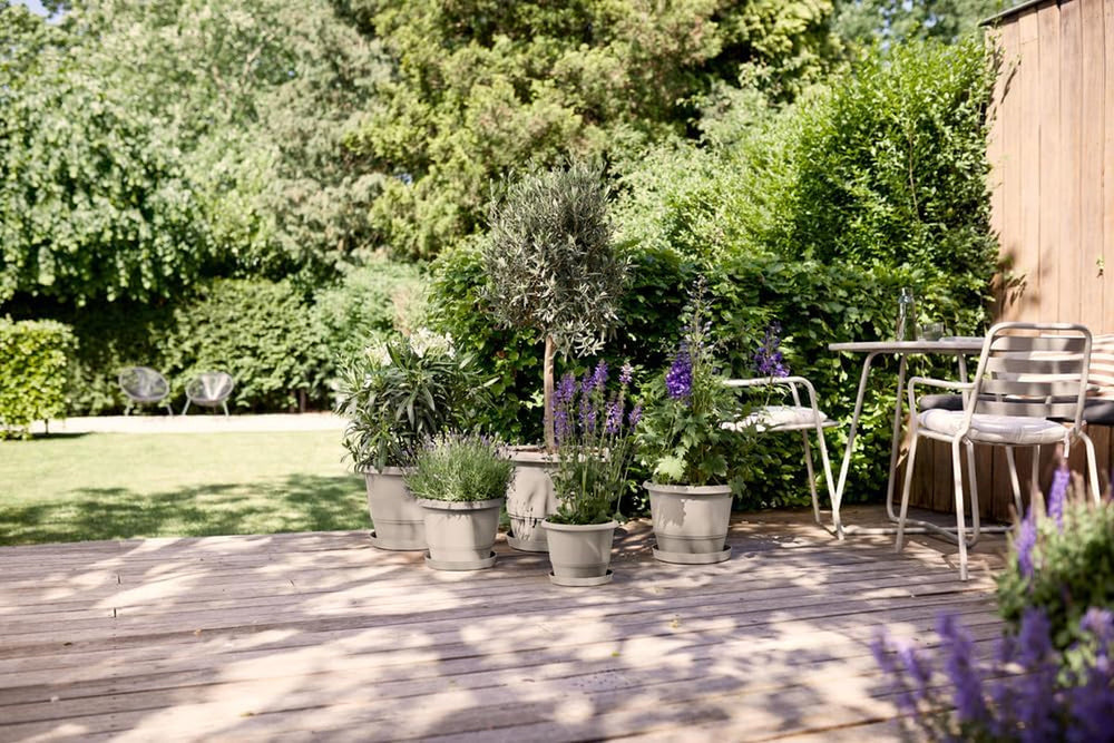 elho Amiga Round 47 - Ghiveci pentru flori pentru interior și exterior - 100% plastic reciclat - Ø 47,0 x Î 35,3 cm - Bej/Bej Ciupercă