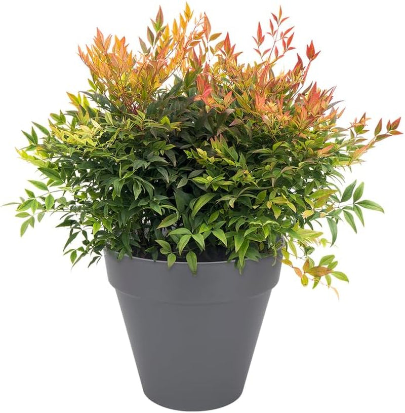 elho Loft Urban Round 40 - Ghiveci de flori pentru exterior - Plastic 100% reciclat - Ø 38,5 x H 35,3 cm - Negru/Antracit