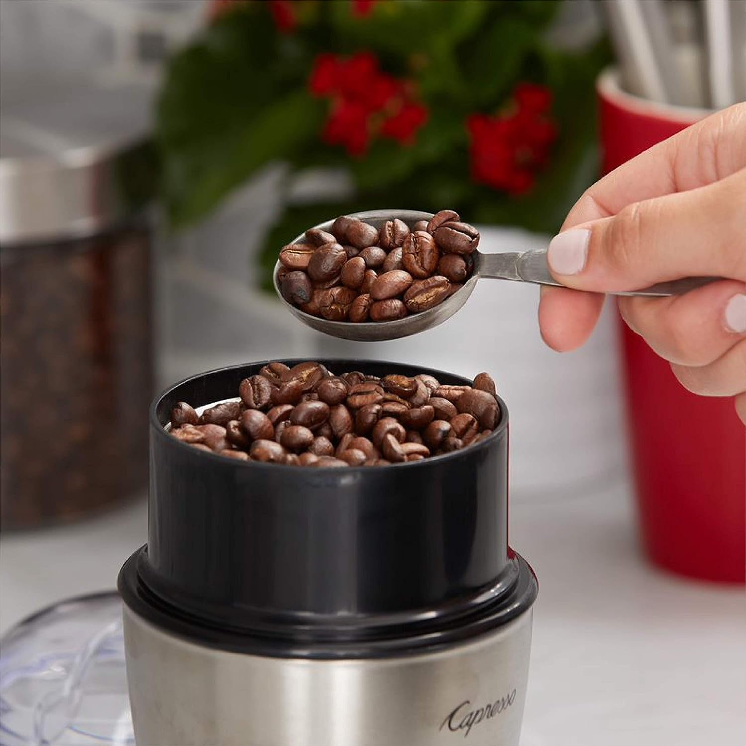 Tim Horton's 100 % Arabica, torréfaction moyenne, mélange original, café en grains entiers, 2 lb.