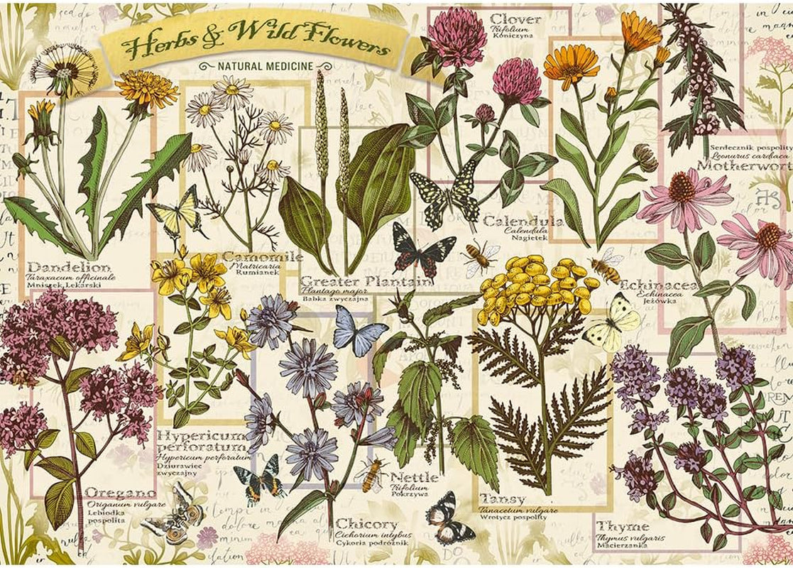 Puzzle 500 herbes médicinales Puzzle Naty Shop