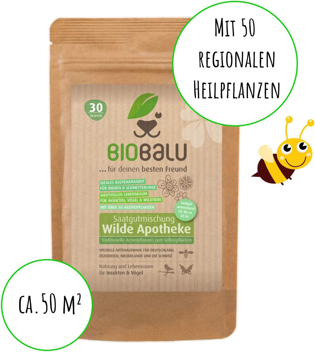 Wilde Apotheke - 50 Traditionelle Heilkräuter Samen - Bienenfreundliche Wildblumenwiese, Wildkräuter Samen Mehrjährig & Regional, Arzneipflanzen Saatgutmischung 30 G