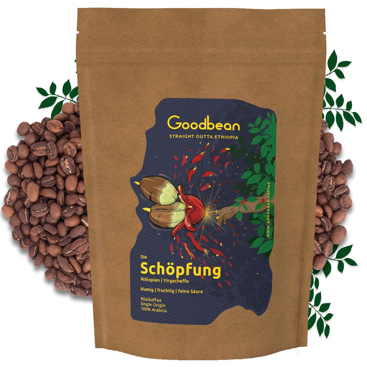 Die Schöpfung bleu, fruité, fin Säure | doux et harmonieux Kaffeebohnen | 500g | 100% Arabica | Éthiopien - Yirgacheffe | frisch geröstet | Versand direct aus der Rösterei | Torréfaction moyenne