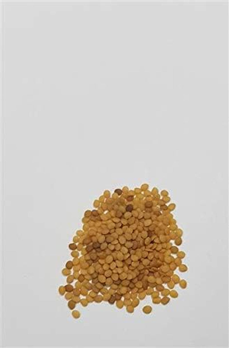 Stk - 35X Ananaskirsch Sunfruit - Samen Beere Physalis Pruinosa Obst KS446 -