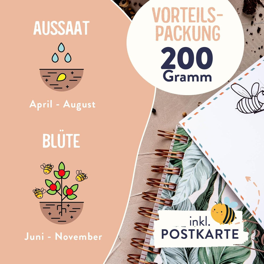 Blumenwiese Samen I 200 g I Blumensamen mehrjährig I Samen für Bienen Blumenmischung I Wildblumensamen f. Balkonblumen, Wildblumen I Wildblumensamen mehrjährig winterhart als Bienenweide