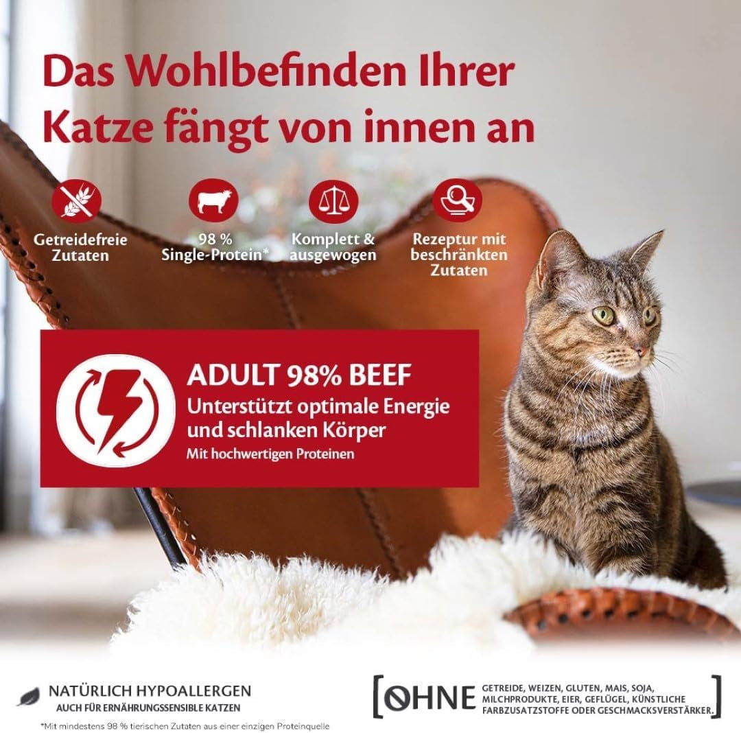 Wellness CORE 98% 12 x 85g, Boeuf - Nourriture humide pour chats, pâté épais, sans céréales, naturelle, hypoallergénique, riche en protéines, riche en viande