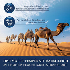 Couette Billerbeck E48 Kairo - Couette d'été - 135 X 200 Cm - Couette rafraîchissante - Avec 60% poil de chameau 40% laine vierge Couettes et couettes Naty Shop