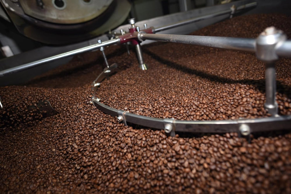 Äthiopien Arabica Kaffeebohnen – Torréfaction naturelle – Premium 100 % Arabica – 500 g – Café frais de la plus haute qualité – idéal pour expresso ou filtre