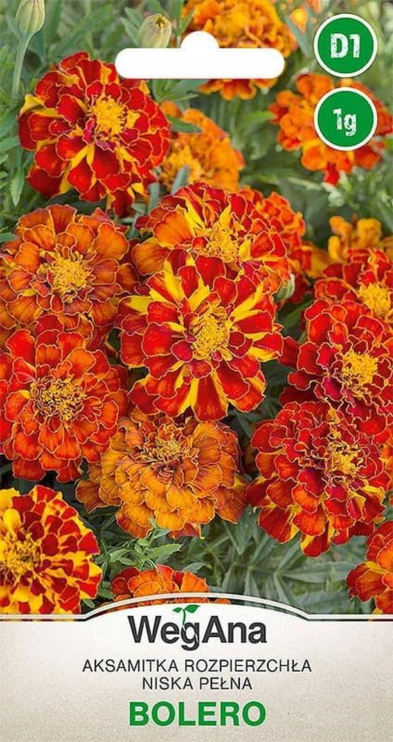 Cosmos Sensation Mix 1g graines, Cosmos Mix Fleurs d'été, Plantes de jardin Plantes de balcon, Graines de fleurs