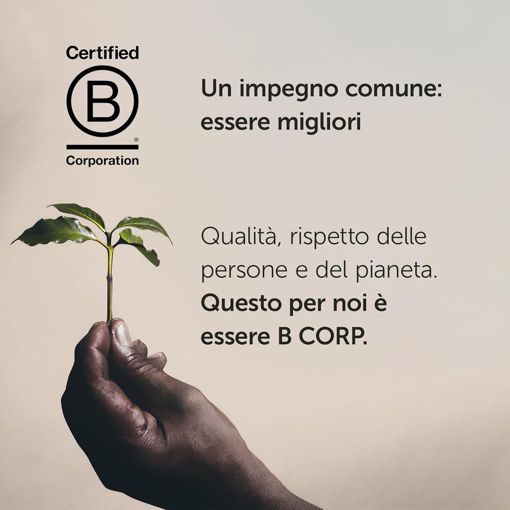 Café en grains Illy Arabica Selection Brésil, 250 g