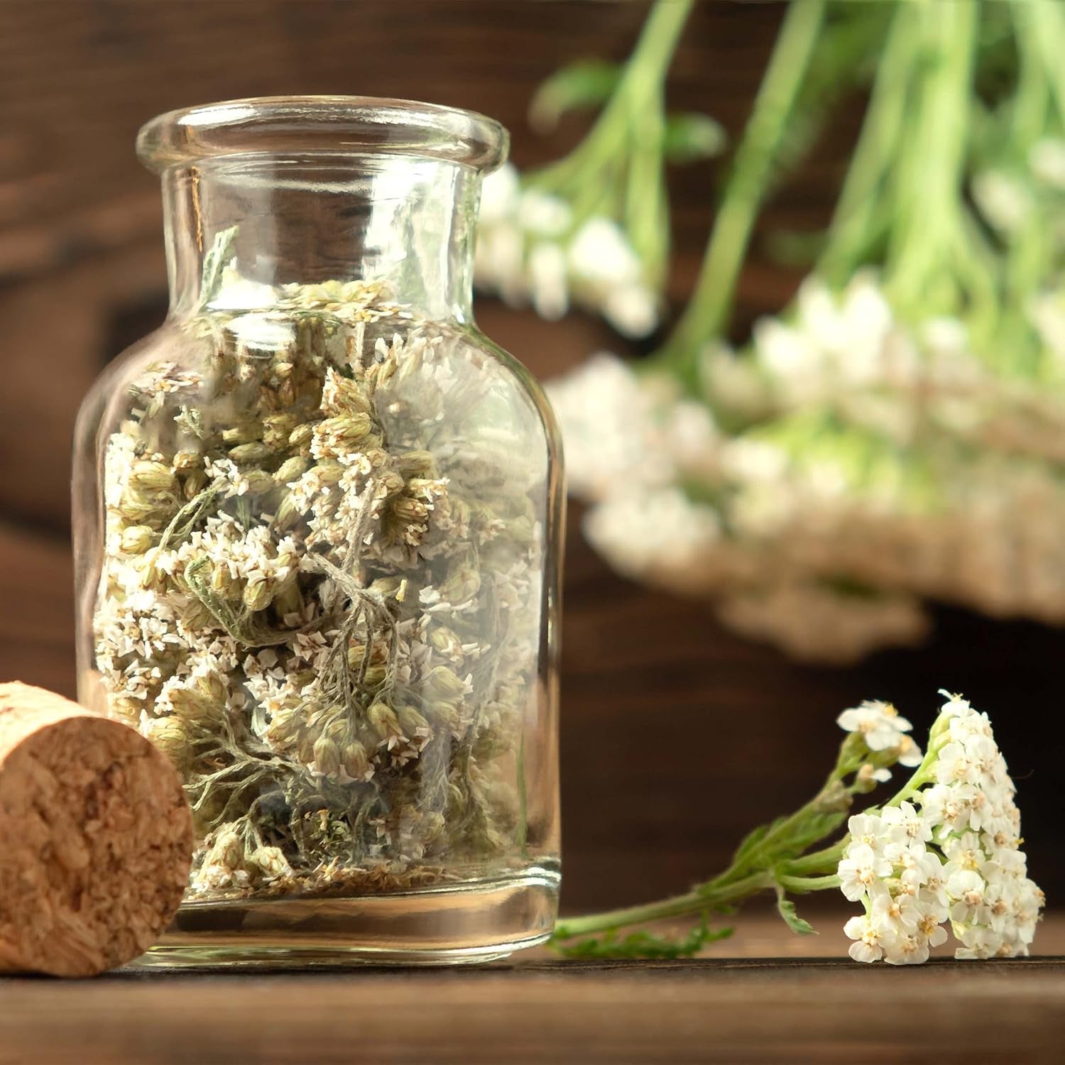 Ensemble de graines de thé : 8 variétés de graines pour balcon et jardin - menthe, camomille, anis, ortie, mauve - graines de plantes - thé - boîte à thé - plantes OwnGrown