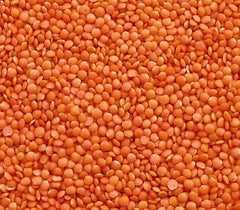 Lentilles rouges Seba Garden 1 kg - Lentilles entières de qualité supérieure du Canada - Massor Dal, sans OGM, riches en protéines, riches en fibres - Entièrement naturelles, végétaliennes, sans gluten, idéales pour les soupes et les currys