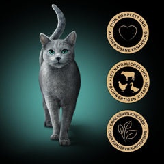 Sheba CATCARE Sachet Wet Fresh & FINE (Viande) Morceaux EN Sauce Adulte 50G Multipack Standard