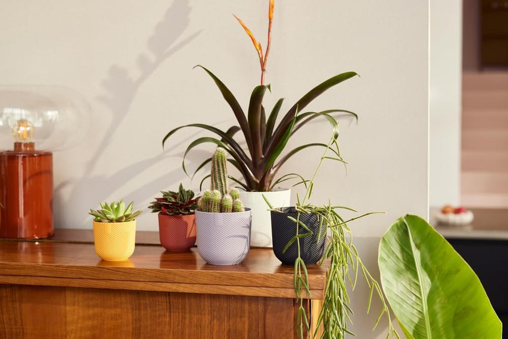 elho Jazz Round Mini 7cm - Pots de fleurs d'intérieur - 100% plastique recyclé - Ø 7 x H 6,5 cm - Jaune/Ambre