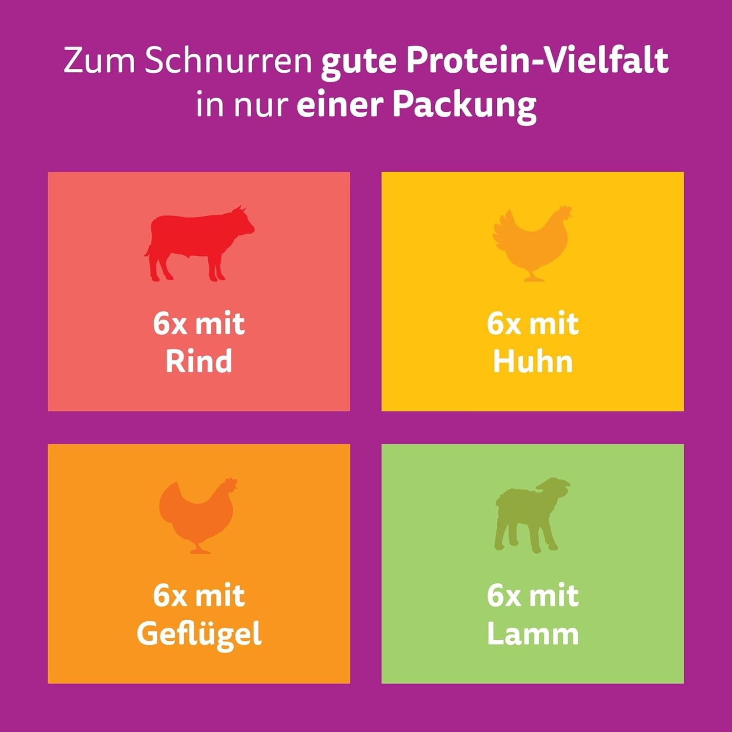 WHISKAS PURE DELIGHT Hrană umedă în jeleu 24 x 85g Ragout clasic (4 pachete) 48 pliculețe porționate