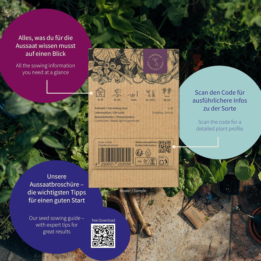 Magic Garden Seeds - Boîte de graines de plantes parfumées - Magie florale pour balcon, parterre de fleurs et sens - Graines pollinisées gratuites, charmantes fleurs comme idée cadeau pour les amateurs de jardinage