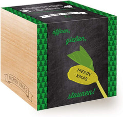 Feel Green Message Cube, Holzwürfel Mit Lasergravierter Glücksbohne"Merry Xmas", Nachhaltige Geschenkidee, 100% Eco Friendly, Anzuchtset, Made in Austria